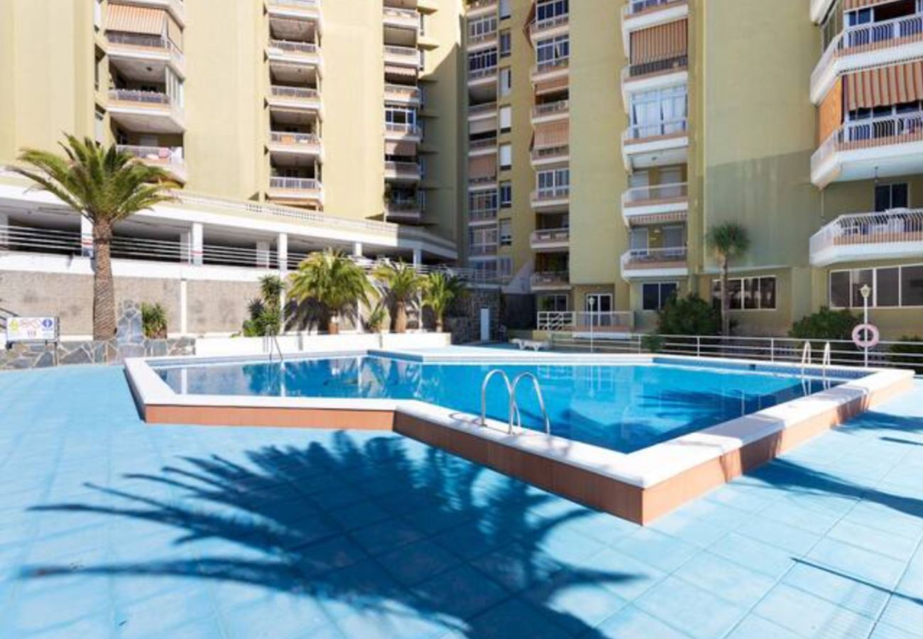 Apartamento en Santa Cruz -  Live Tabaiba Decre 2