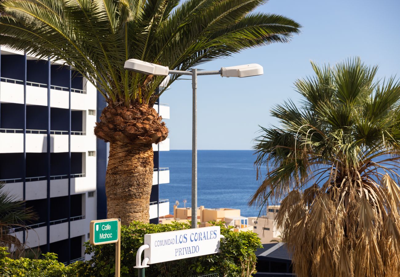Apartamento en Candelaria - TRIP CORALES CALETILLAS