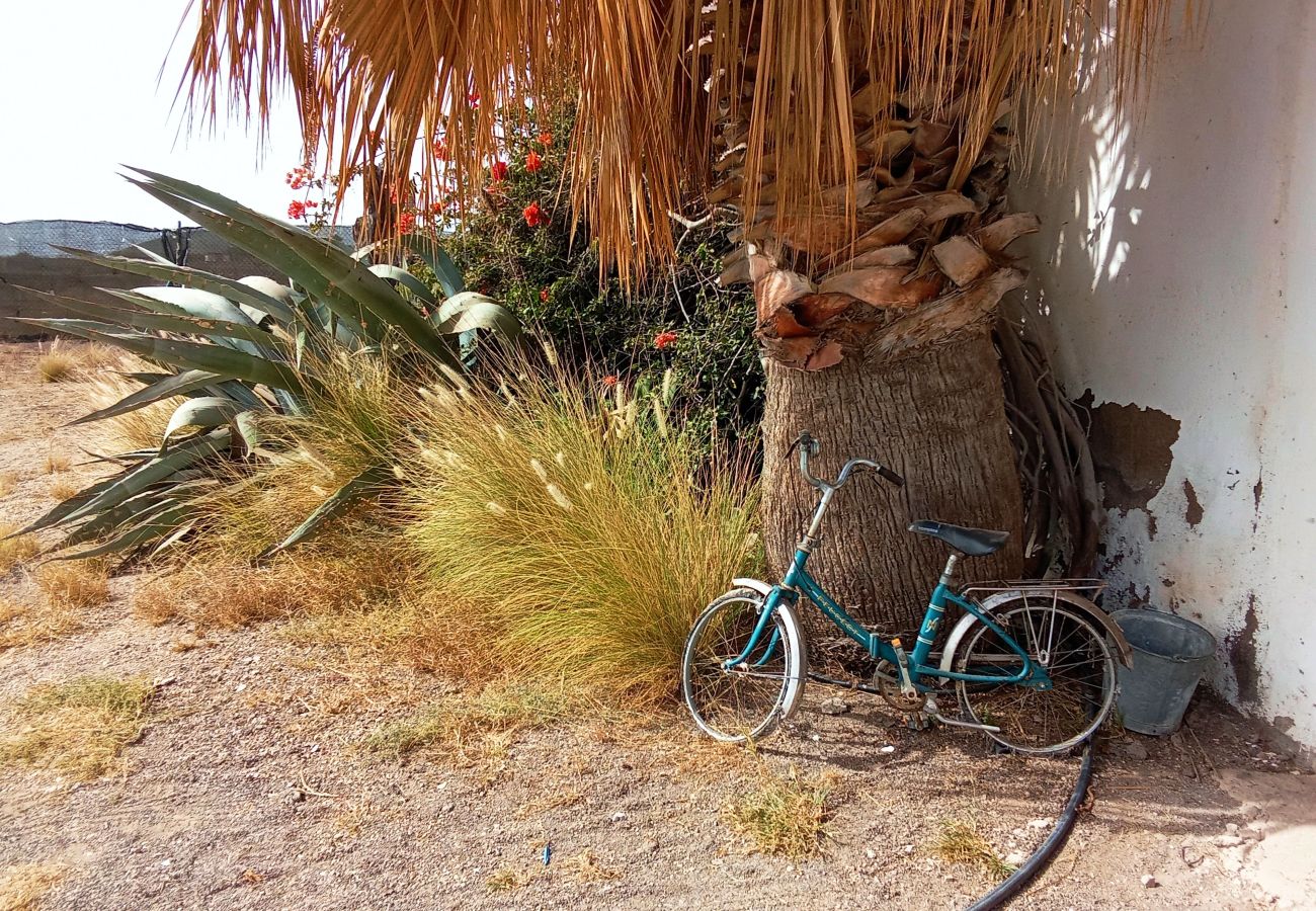 Casa rural en Güimar - Live Socorro J F