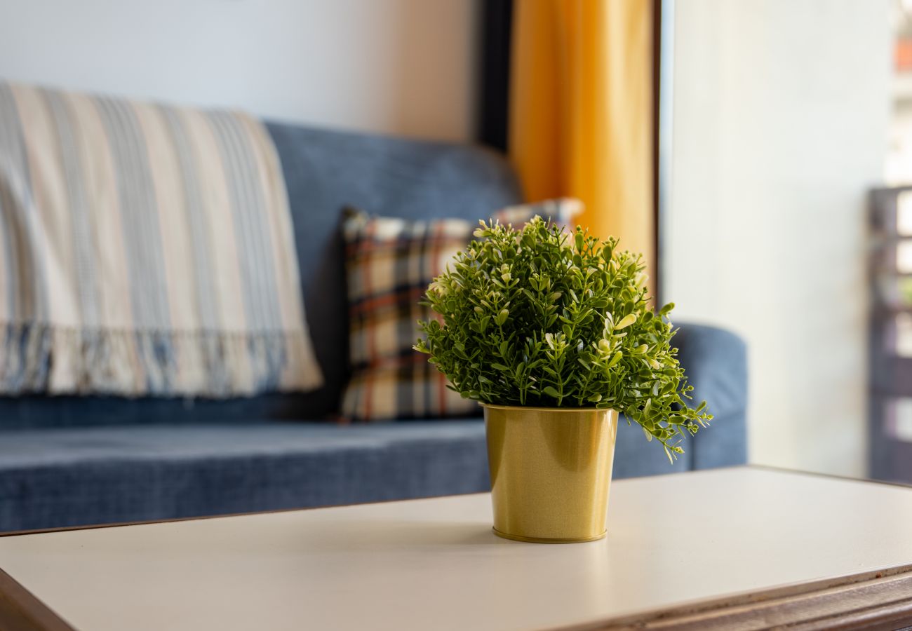 Agroturismo en Los Llanos de Aridane -  Live La Palma El Mirador