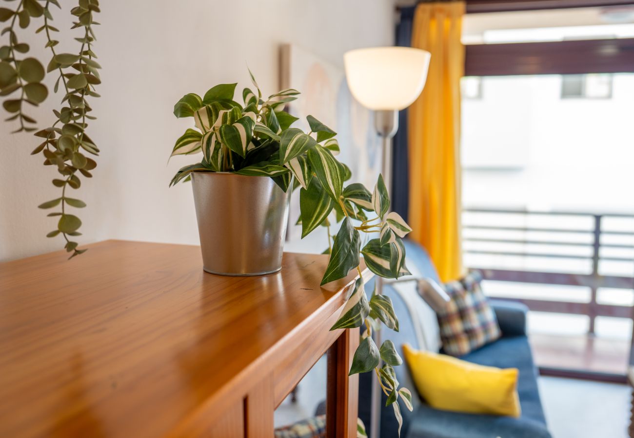 Agroturismo en Los Llanos de Aridane -  Live La Palma El Mirador