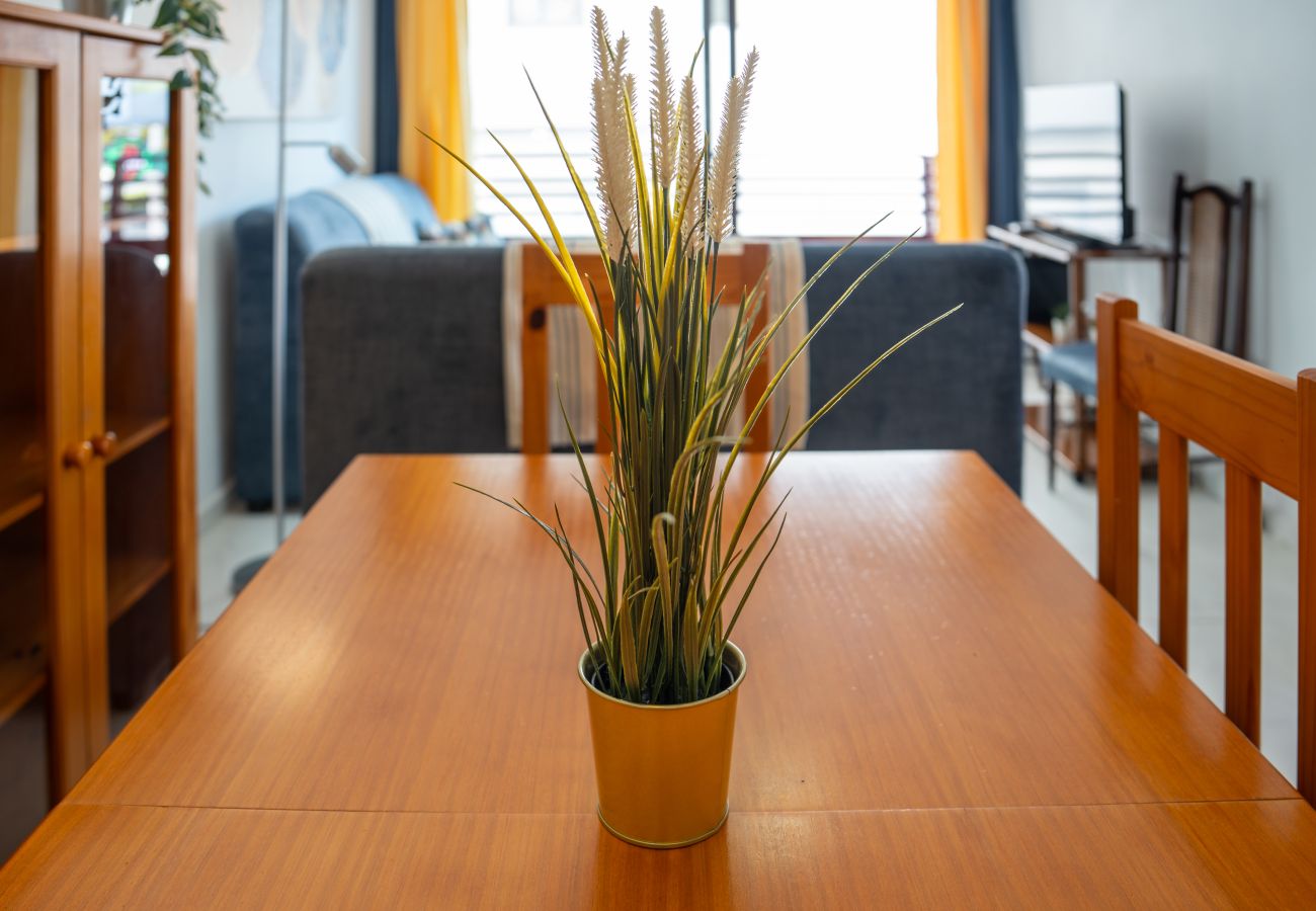 Agroturismo en Los Llanos de Aridane -  Live La Palma El Mirador