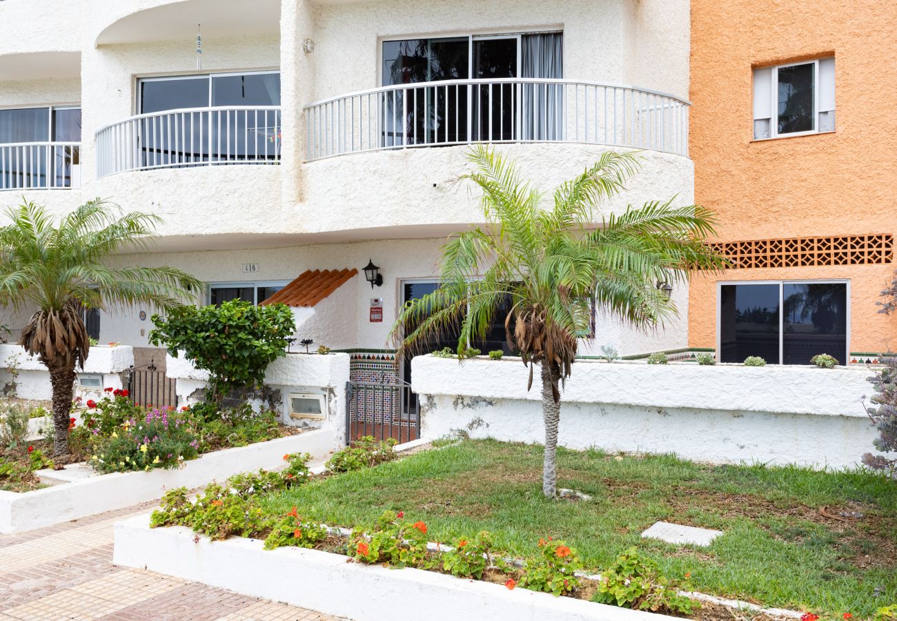 Apartamento en Icod de los Vinos - Live Playa San Marcos Sayris Sea
