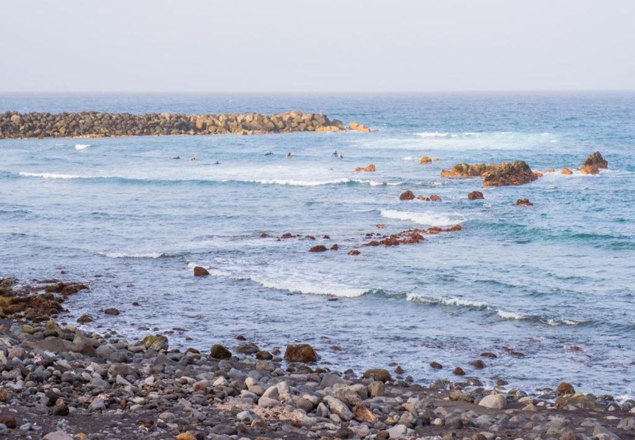 Apartamento en Puerto de la Cruz - Live Puerto de la Cruz Las Palmeras