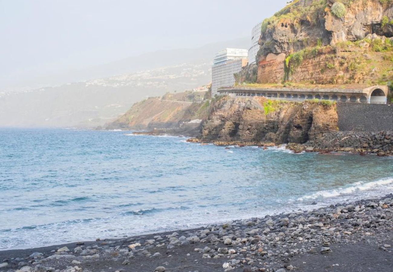 Apartamento en Puerto de la Cruz - Live Puerto de la Cruz Las Palmeras