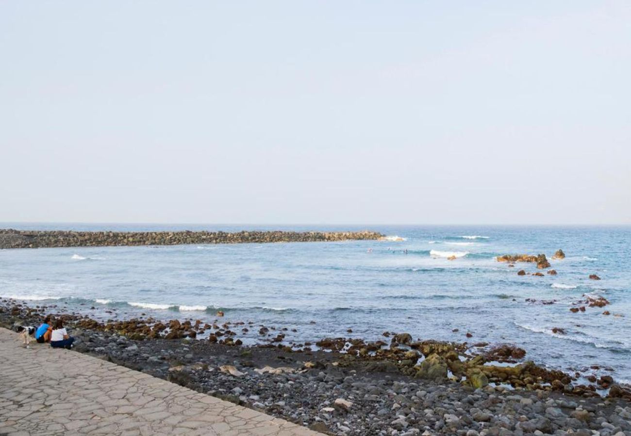 Apartamento en Puerto de la Cruz - Live Puerto de la Cruz Las Palmeras
