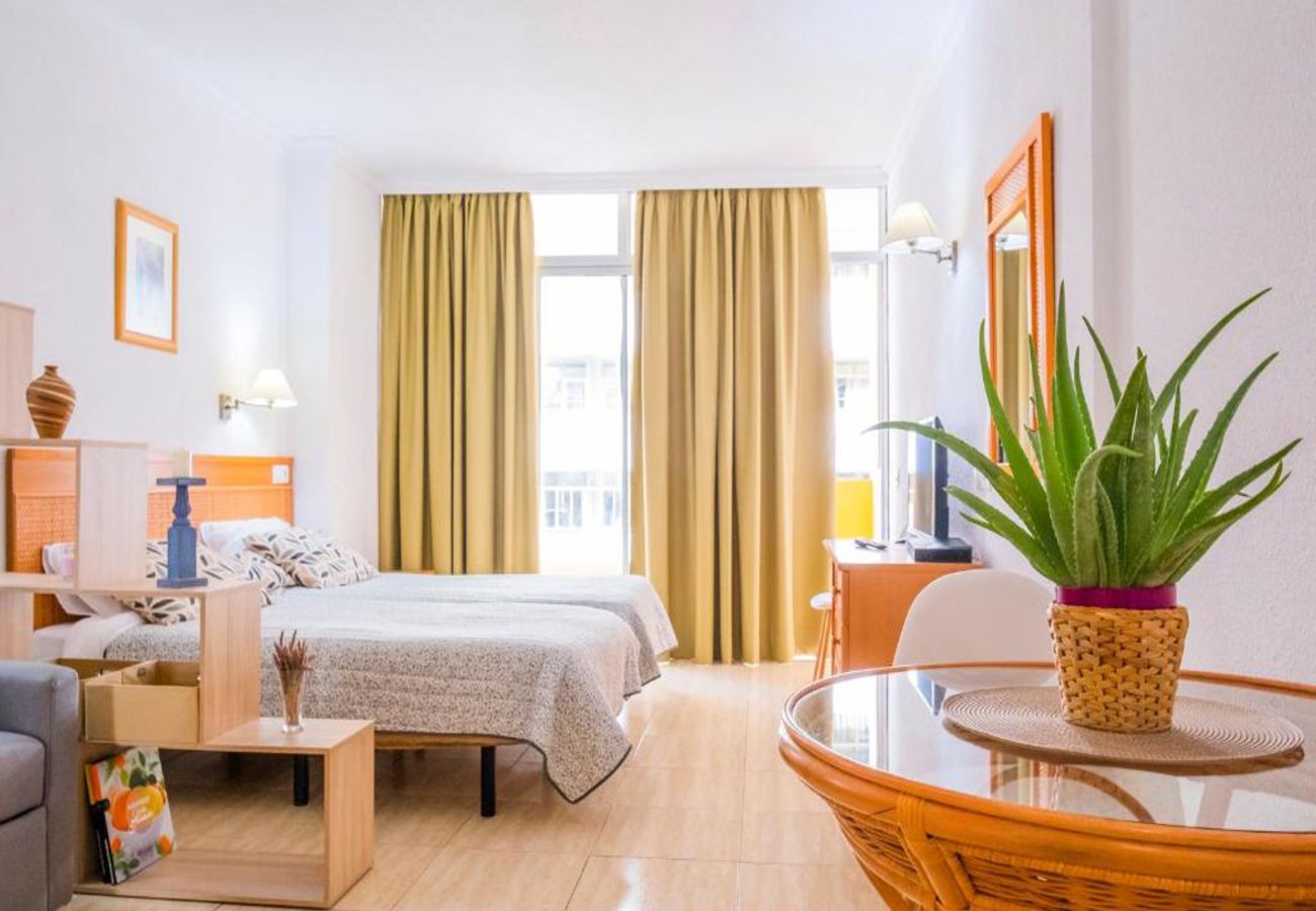 Apartamento en Puerto de la Cruz - Live Puerto de la Cruz Las Palmeras