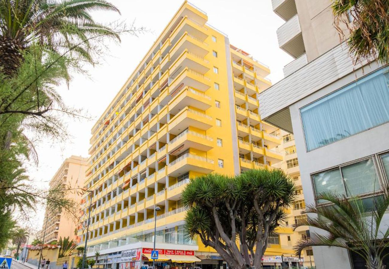 Apartamento en Puerto de la Cruz - Live Puerto de la Cruz Las Palmeras