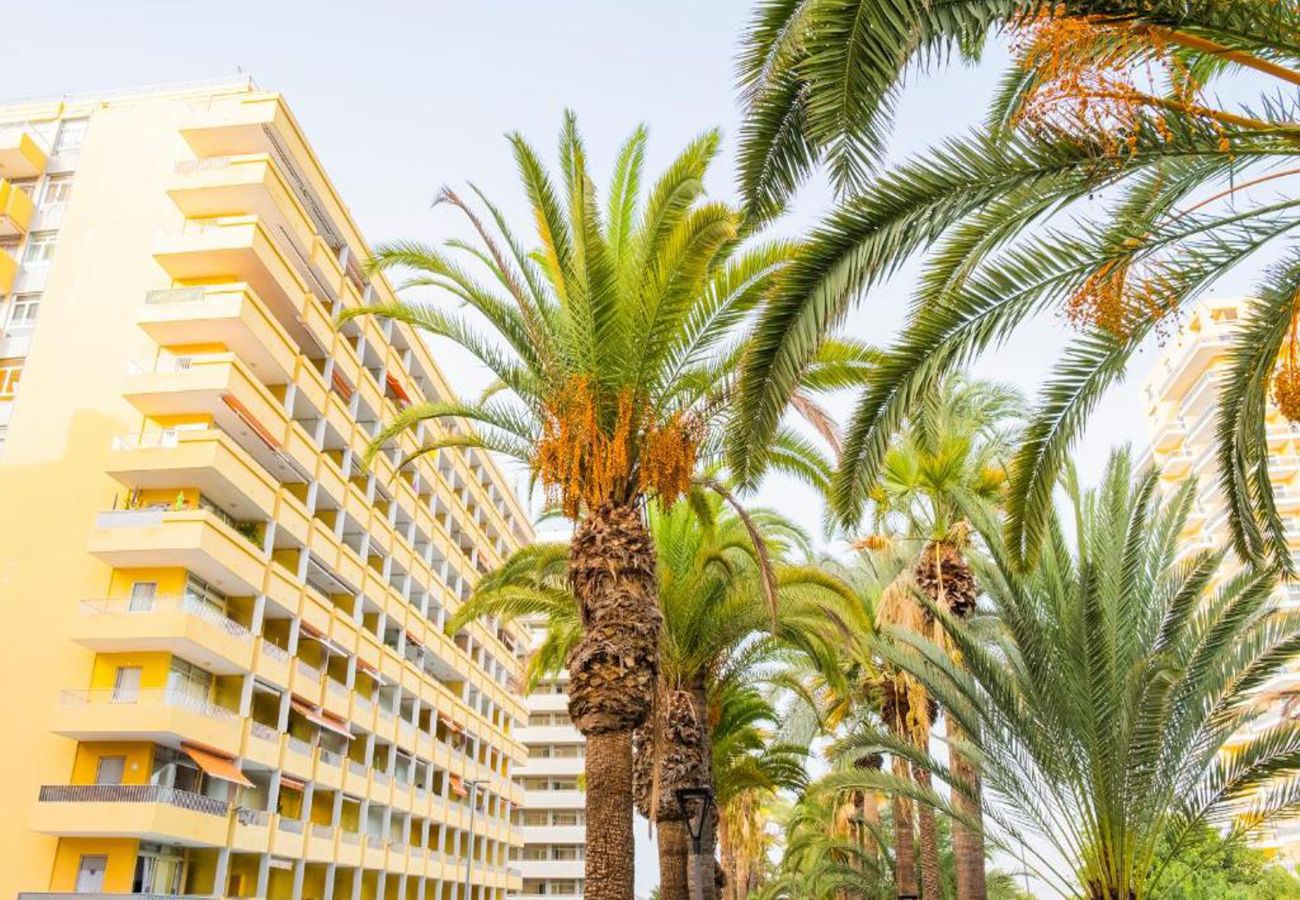 Apartamento en Puerto de la Cruz - Live Puerto de la Cruz Las Palmeras