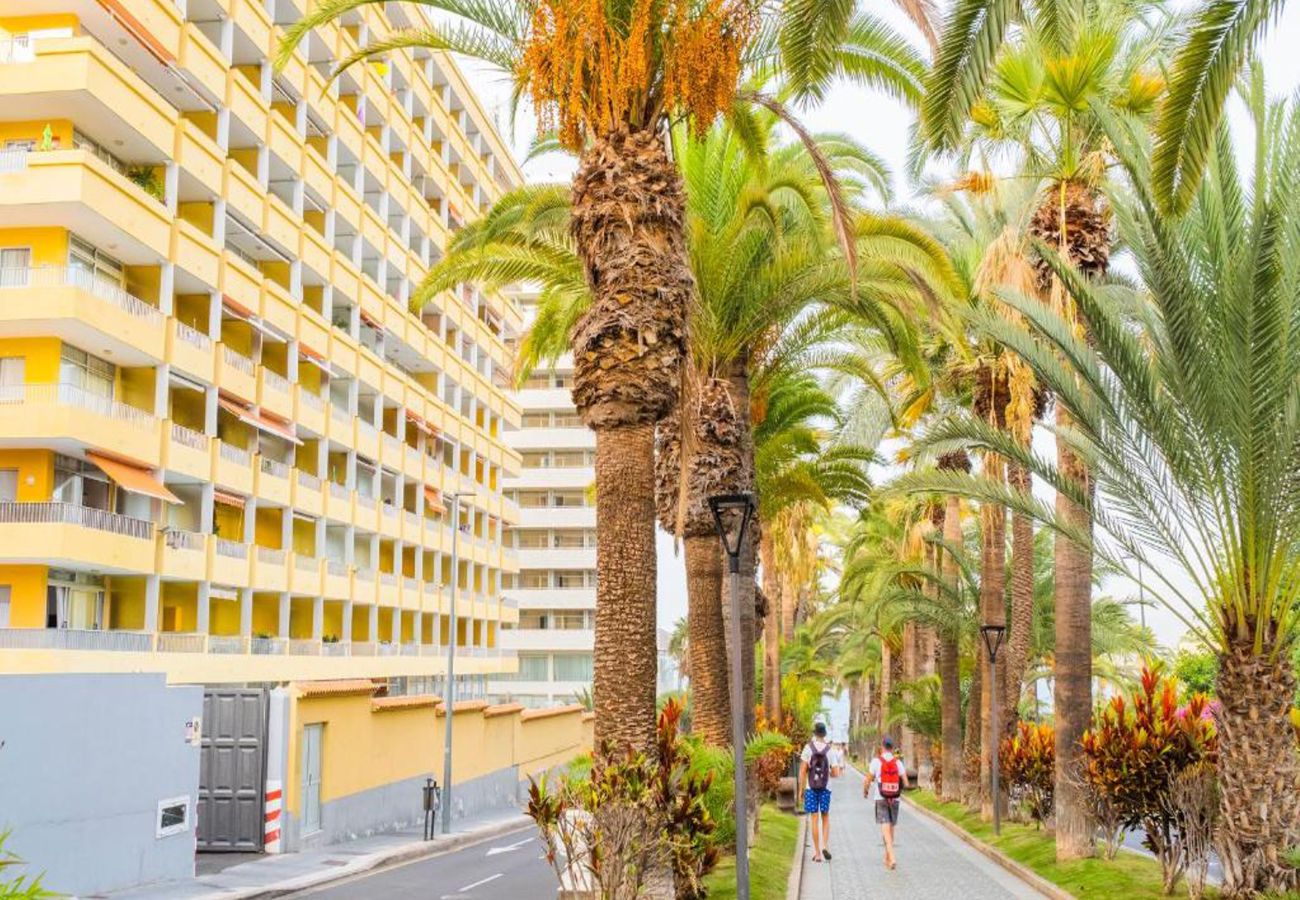 Apartamento en Puerto de la Cruz - Live Puerto de la Cruz Las Palmeras
