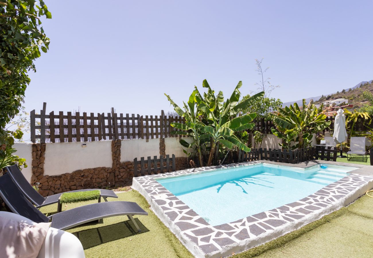 Estudio en Candelaria - ARAYA MUY MÍA 3