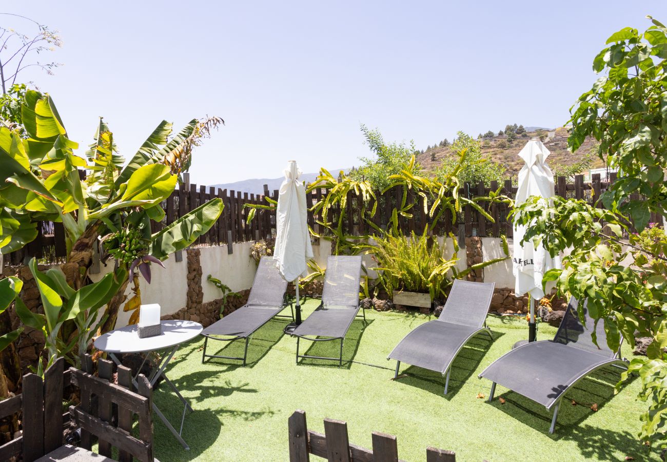 Estudio en Candelaria - ARAYA MUY MÍA 3