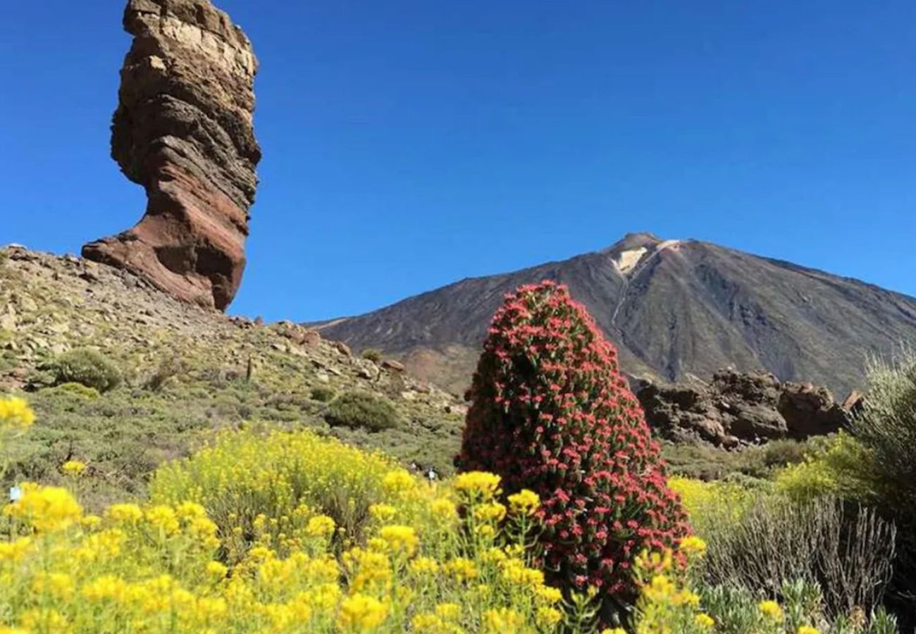 Casa en Los Silos -  Live La Caleta Salinas del Mar