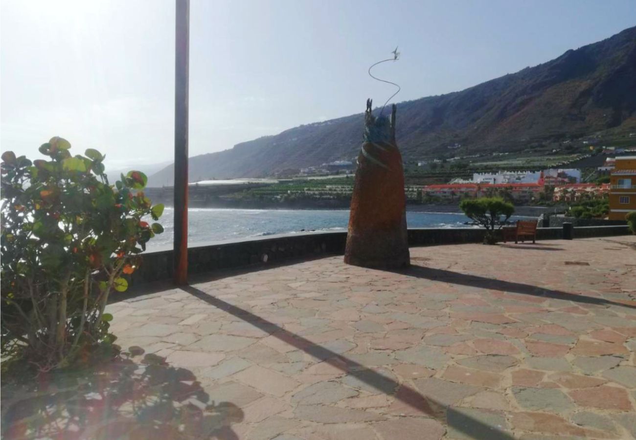 Apartamento en Garachico - Live La Caleta Mar de plata 14