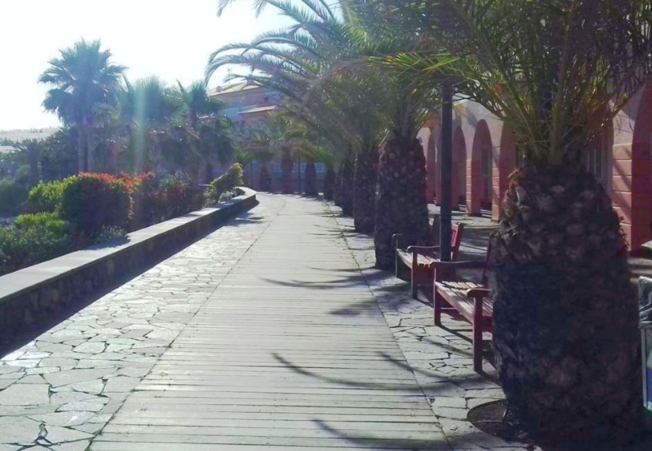 Apartamento en Garachico - Live La Caleta Mar de plata 14