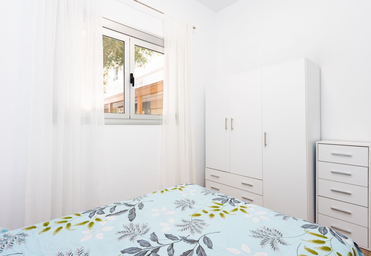 Apartamento en Santa Cruz de Tenerife -  Live Santa Cruz Islas Canarias