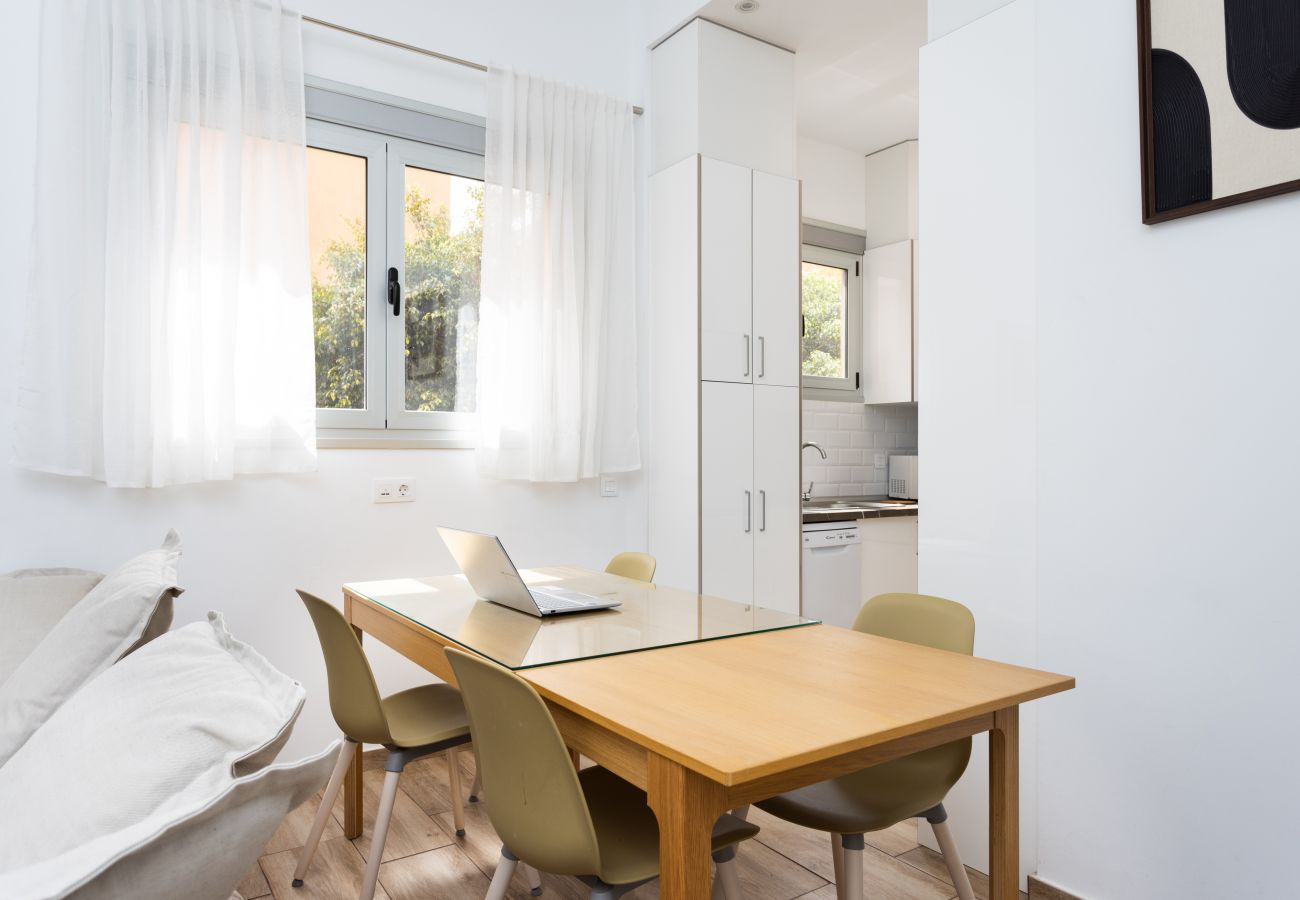 Apartamento en Santa Cruz de Tenerife -  Live Santa Cruz Islas Canarias
