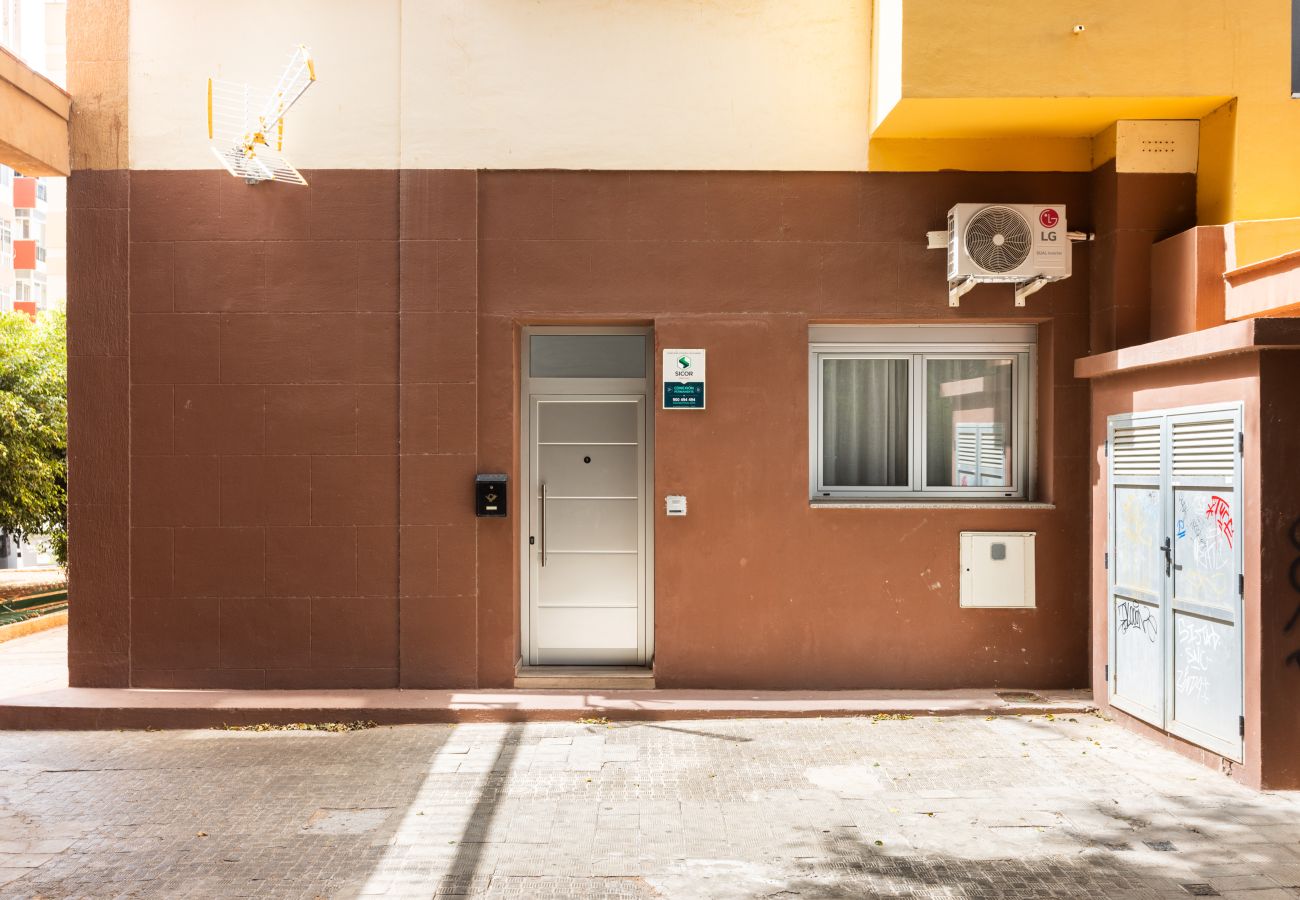 Apartamento en Santa Cruz de Tenerife -  Live Santa Cruz Islas Canarias