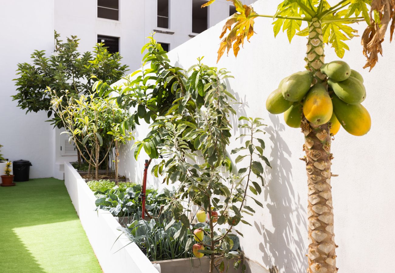 Bungalow en Garachico - Villa Adrian 