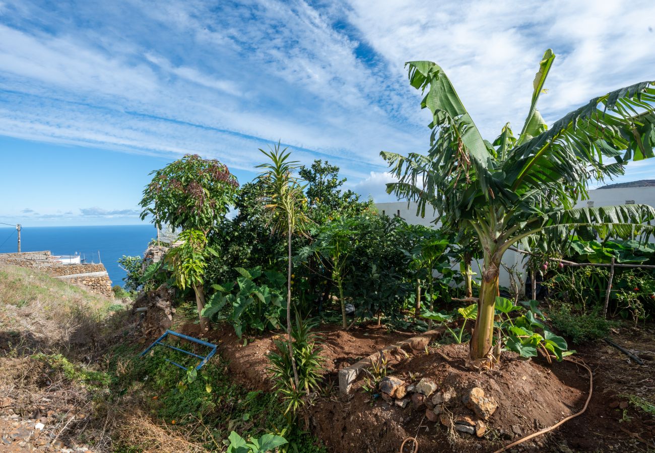 Casa en Barlovento - Live La Palma Lomo La Crucita