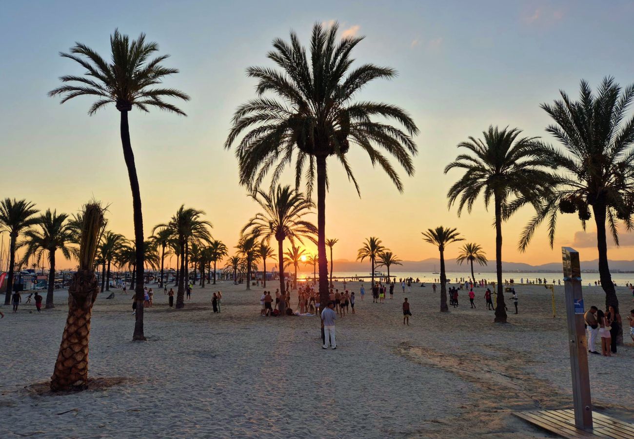 Apartamento en Los Cristianos - Live Los Cristianos Valdés Center 2