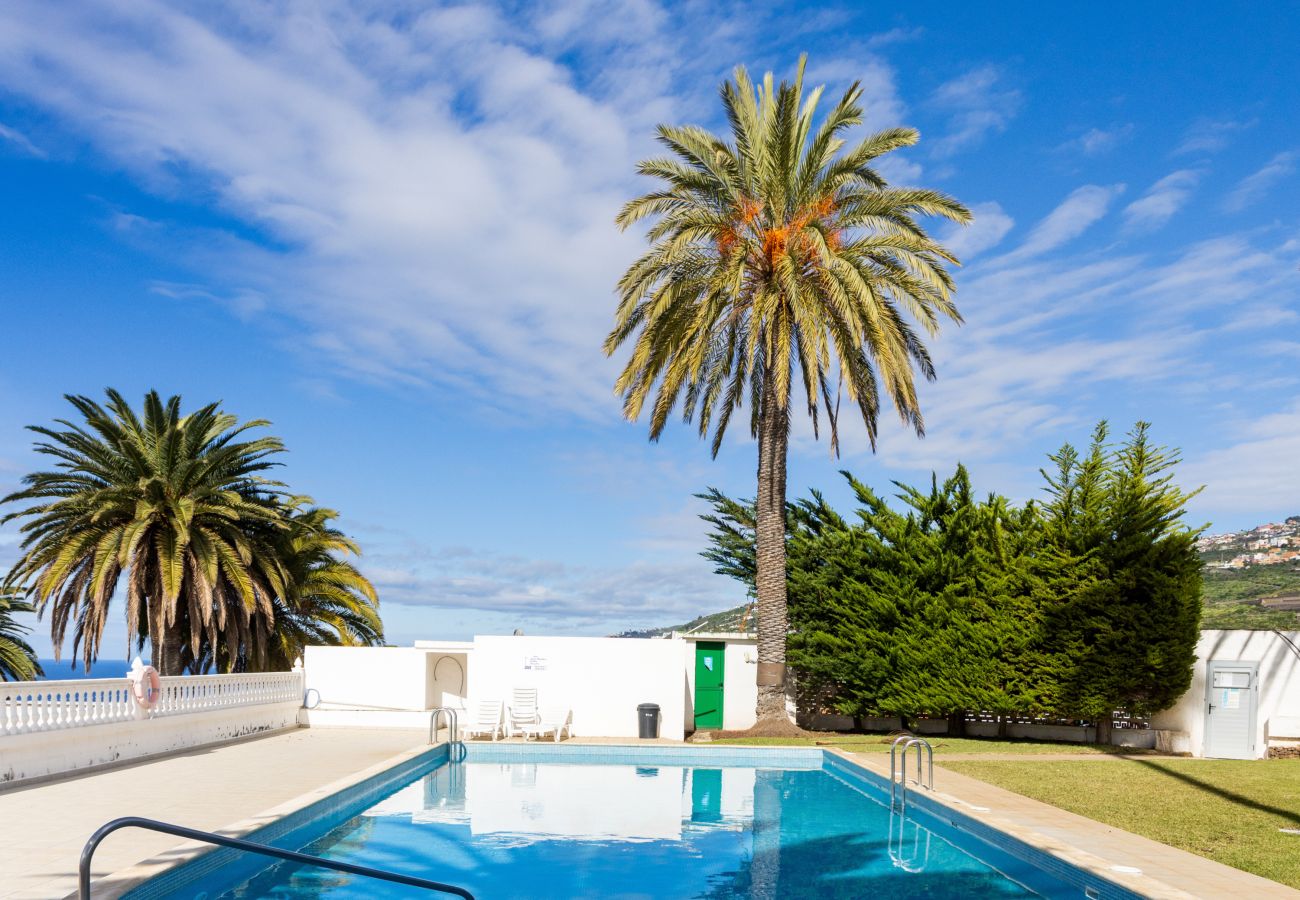 Apartamento en La Victoria de Acentejo - Lovely La Palmita