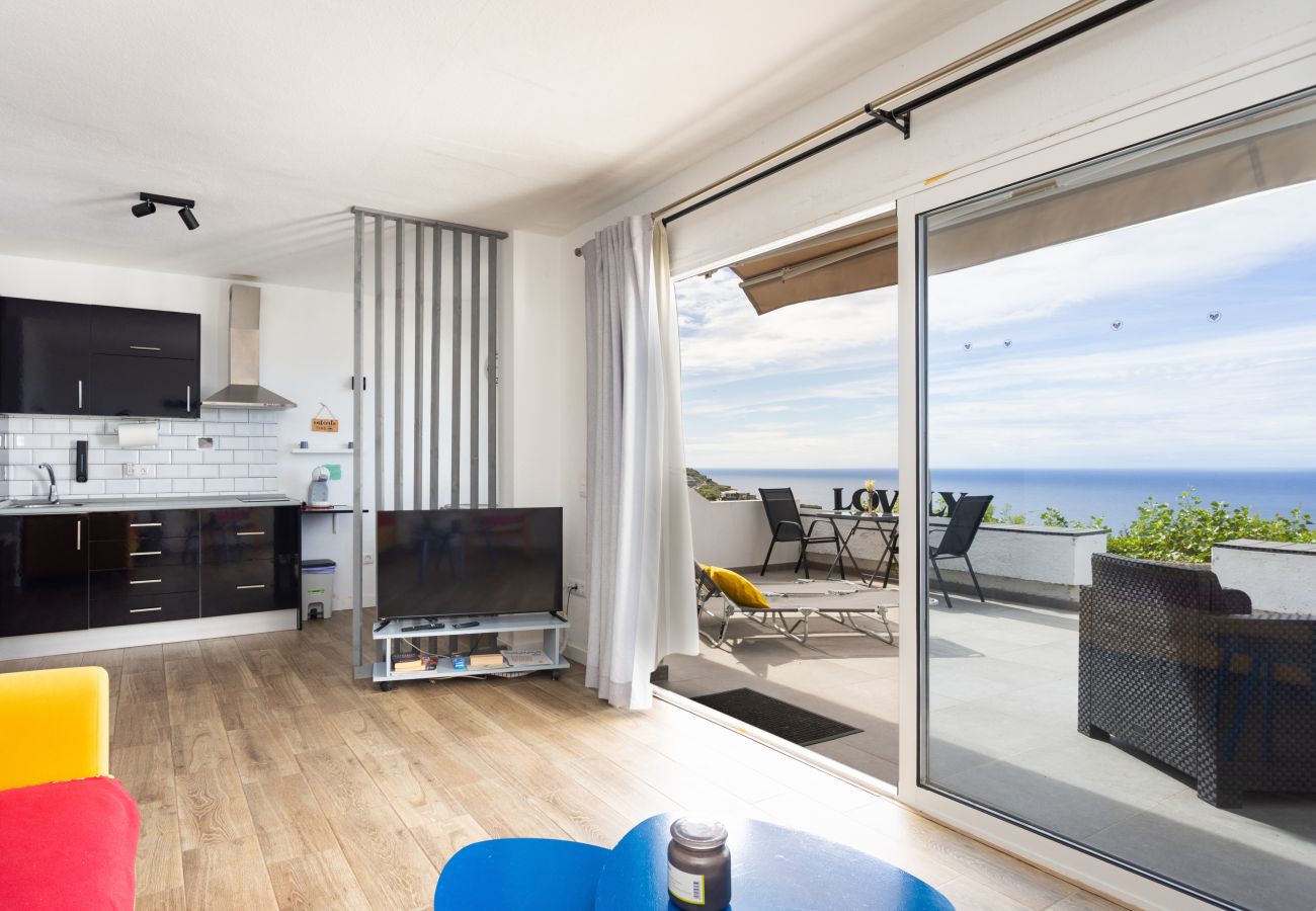 Apartamento en La Victoria de Acentejo - Lovely La Palmita