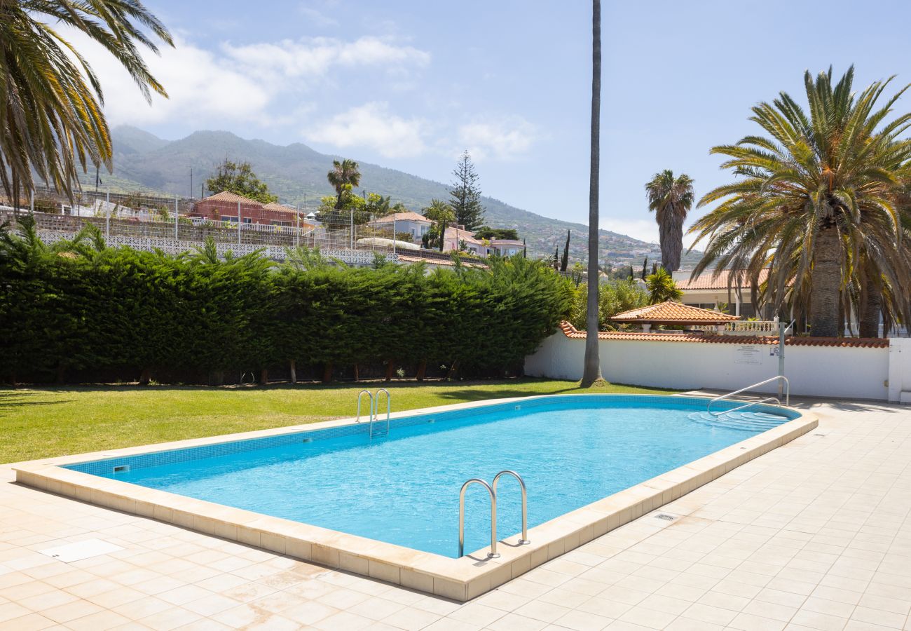 Apartamento en La Victoria de Acentejo - Lovely La Palmita