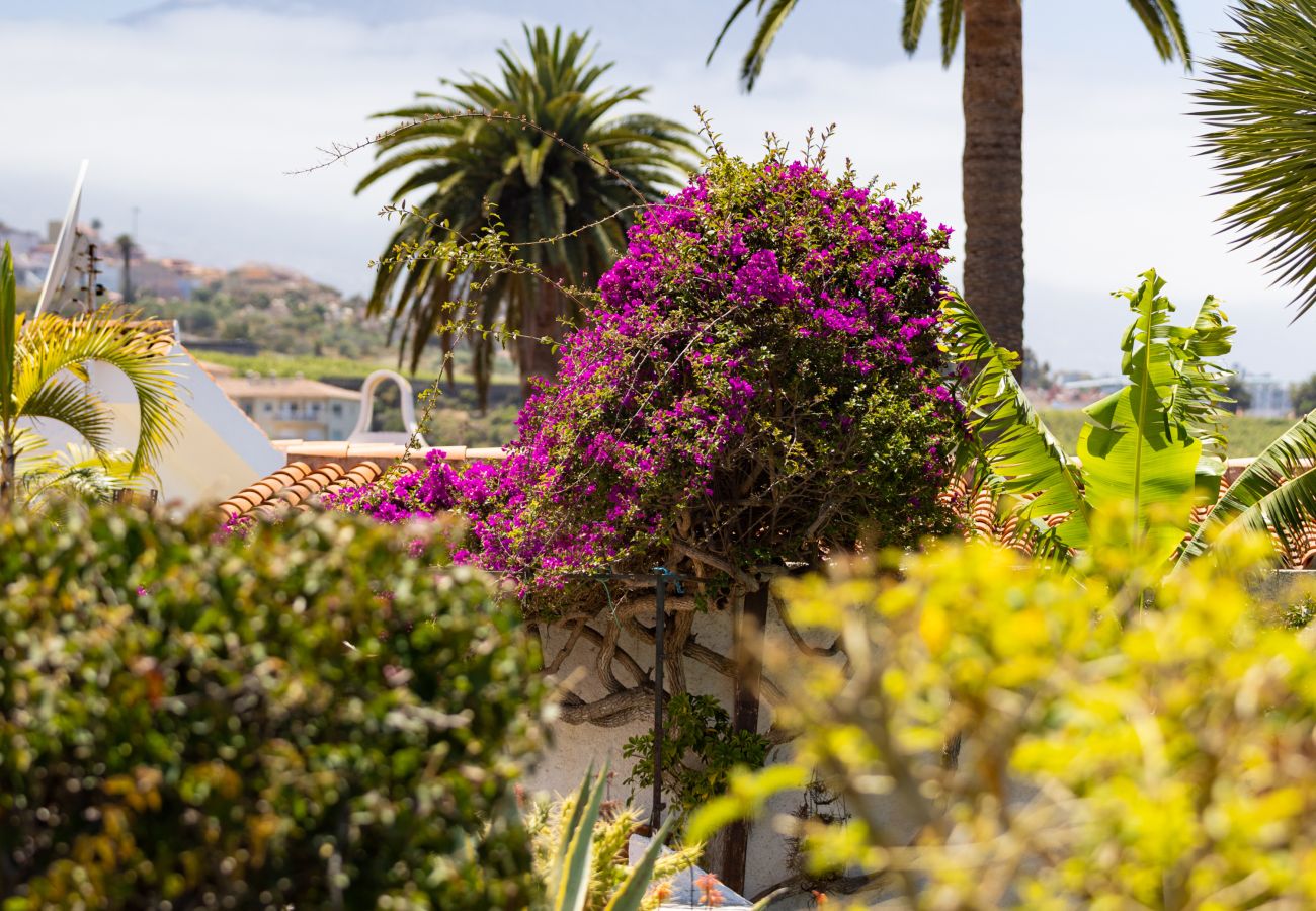 Apartamento en La Victoria de Acentejo - Lovely La Palmita