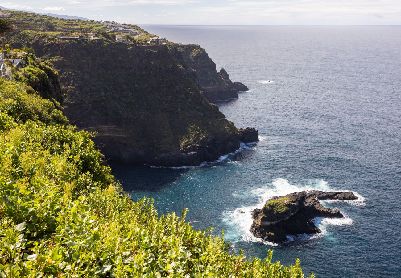 Apartamento en La Victoria de Acentejo - Lovely La Palmita